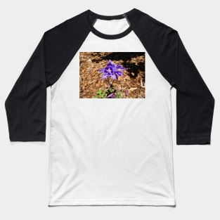 KE Columbine Study 1 Baseball T-Shirt